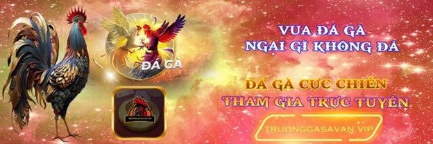 Lý do nên tham gia trải nghiệm Trường Gà Savan tại 8xbet