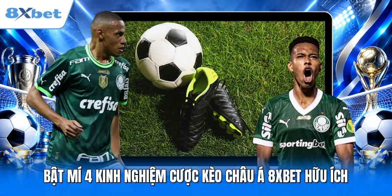 Bật mí 4 kinh nghiệm cược kèo châu Á 8XBET hữu ích
